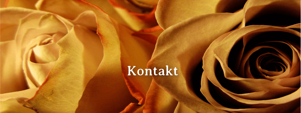 Kontakt - Praxis für Frauengesundheit Olpe